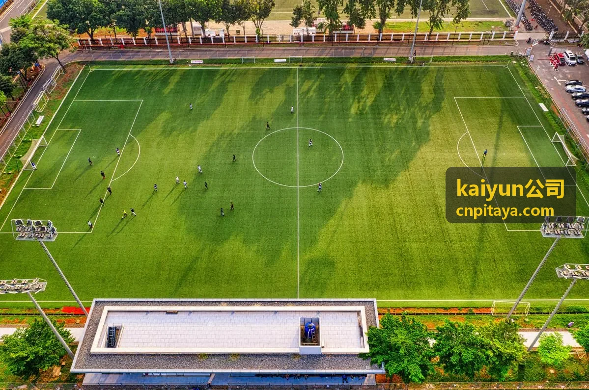 kaiyun公司为物流企业搭建的运单调度系统界面